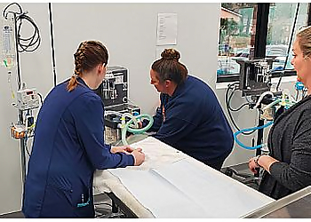 Mobile Veterinary Clinics Spring Hill Animal Clinic