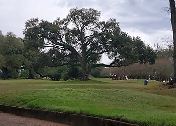 Mobile Golf Courses Spring Hill Golf Course