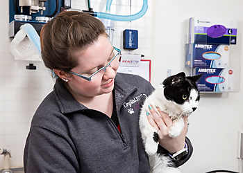 Olathe Veterinary Clinics Spring Hill Veterinary Clinic