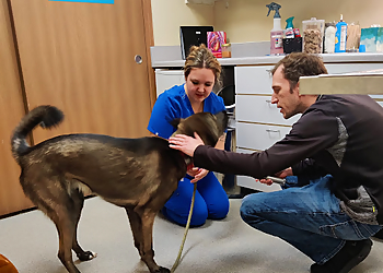 Olathe Veterinary Clinics Spring Hill Veterinary Clinic