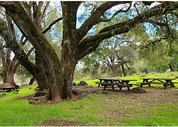 Santa Rosa Public Parks Spring Lake Regional Park