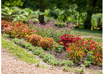 Springfield Botanical Gardens Springfield Places To See