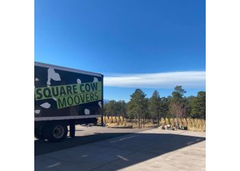 3 Best Moving Companies In Thornton Co Expert Recommendations