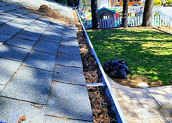 San Jose Gutter Cleaners Squeegee Pros