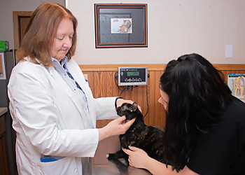 St. Francis Animal Hospital - Milwaukee, WI Veterinary Clinics - Doctor With Patient Image
