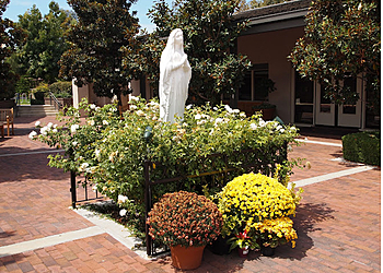 Irvine Churches St. John Neumann Catholic Church