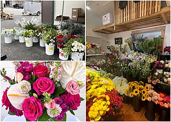 Jacksonville Florists St Johns Flower Market