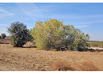 Visalia Hiking Trails St. Johns River Trail