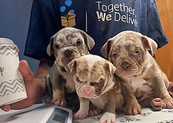 Tucson Veterinary Clinics St. Mary's Animal Clinic