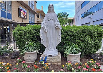 Austin Churches St. Mary's Cathedral