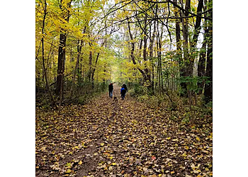South Bend Hiking Trails St. Patrick's County Park