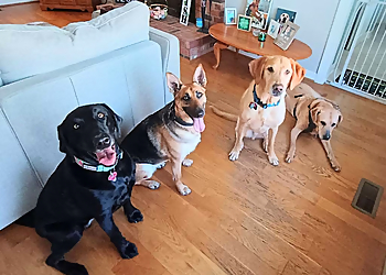 Stable Hands Pet Care and Services - Chesapeake, VA Dog Walkers - Service Image