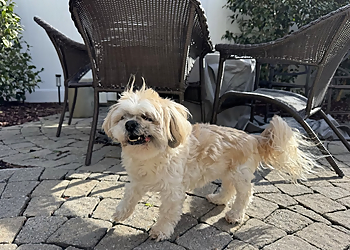 Stable Hands Pet Care and Services - Chesapeake, VA Dog Walkers - Work Image