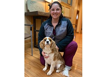 Syracuse Veterinary Clinics Stack Veterinary Hospital