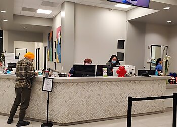 Modesto Veterinary Clinics Standiford Veterinary Center