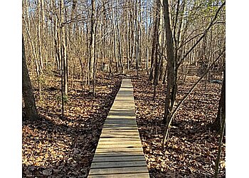 Memphis Hiking Trails Stanky Creek