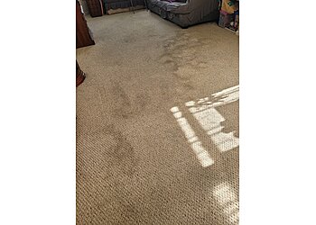 Buffalo Carpet Cleaners Stanley Steemer