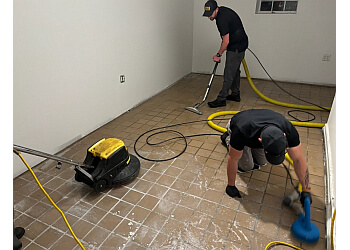 Knoxville Carpet Cleaners Stanley Steemer