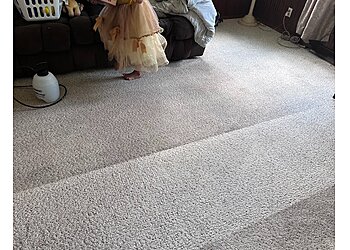 Madison Carpet Cleaners Stanley Steemer