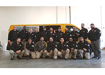 San Bernardino Carpet Cleaners Stanley Steemer