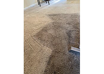 Wilmington Carpet Cleaners Stanley Steemer