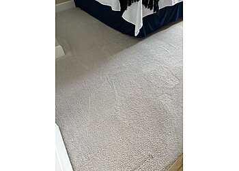 Wilmington Carpet Cleaners Stanley Steemer