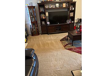 Columbia Carpet Cleaners Stanley Steemer Columbia