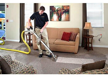 Rochester Carpet Cleaners Stanley Steemer Rochester