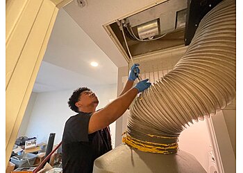 Tempe Carpet Cleaners Stanley Steemer Tempe