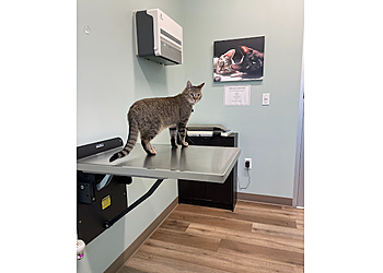 Overland Park Veterinary Clinics Stanley Veterinary Clinic