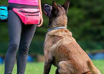 Cincinnati Dog Walkers Stay At Home Pet Services, LLC