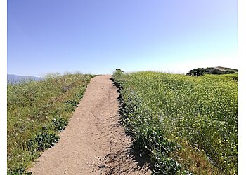 Pomona Hiking Trails Steep Canyon Trail