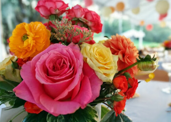 Stems Floral Design - Santa Rosa, CA Florists - Flower Image