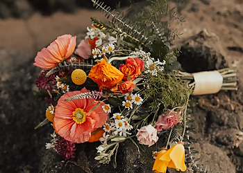 Stems Floral Design Stems Floral Design - Santa Rosa, CA Florists - Bouquet Image