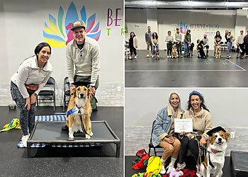 Houston Dog Training Stephanie Bennett's Believe in DOG Training