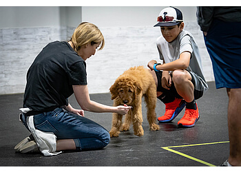 Stephanie Bennett's Believe in DOG Training Houston Dog Training