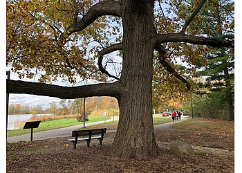 Flint Hiking Trails Stepping Stone Falls