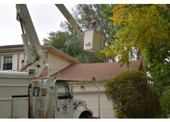Steve Piper & Sons Tree Service Naperville Tree Services