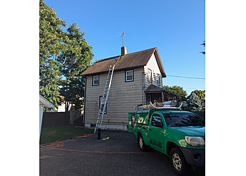 Steve's Wildlife Removal Service Oceanside Animal Removal image 1