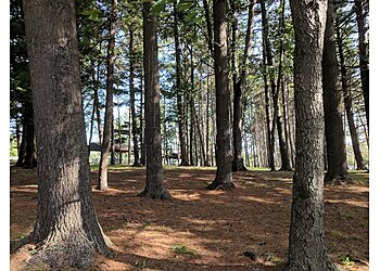 Buffalo Hiking Trails Stiglmeier Park