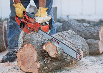 Stockton Tree Services Stockton Tree Services