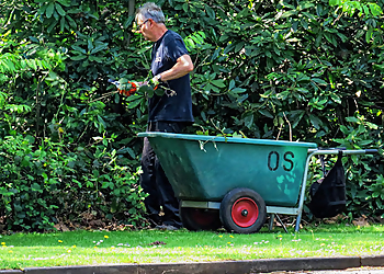 Stockton Tree Services Stockton Tree Services