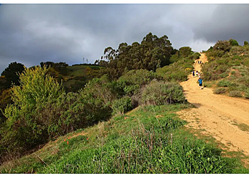 Berkeley Hiking Trails Stonewall-Panoramic Trail