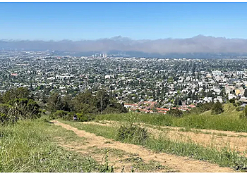 Berkeley Hiking Trails Stonewall-Panoramic Trail