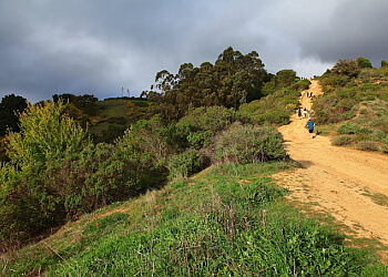 Stonewall-Panoramic Trail Berkeley Hiking Trails