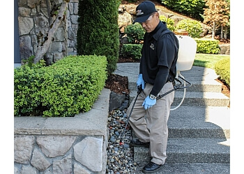 3 Best Pest Control Companies in Seattle, WA - Expert ...