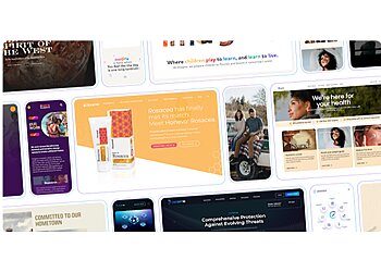 San Diego Web Designers Storm Brain San Diego