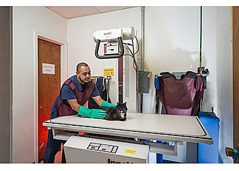 Irving Veterinary Clinics Story Road Animal Hospital