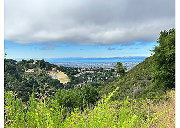 Strawberry Canyon Fire Trail - Berkeley, CA Hiking Trails - Tourist Spot Image