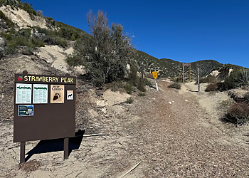 Strawberry Peak Trailhead - Palmdale, CA Hiking Trails - Trail Image